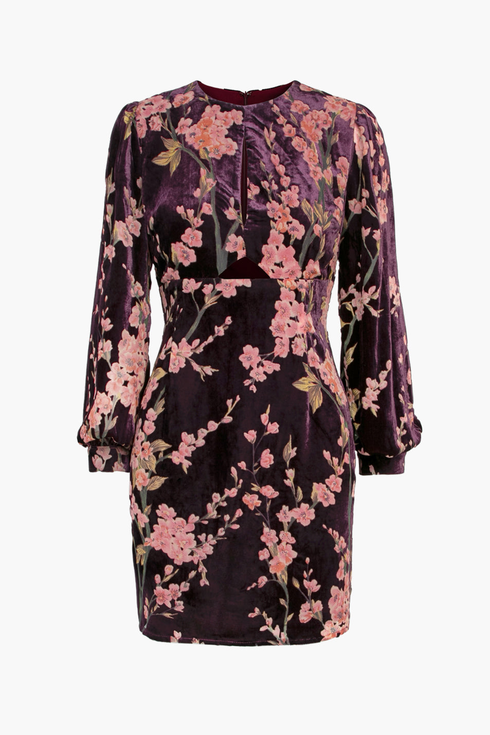 LIZ VELVET BURNOUT MINI DRESS