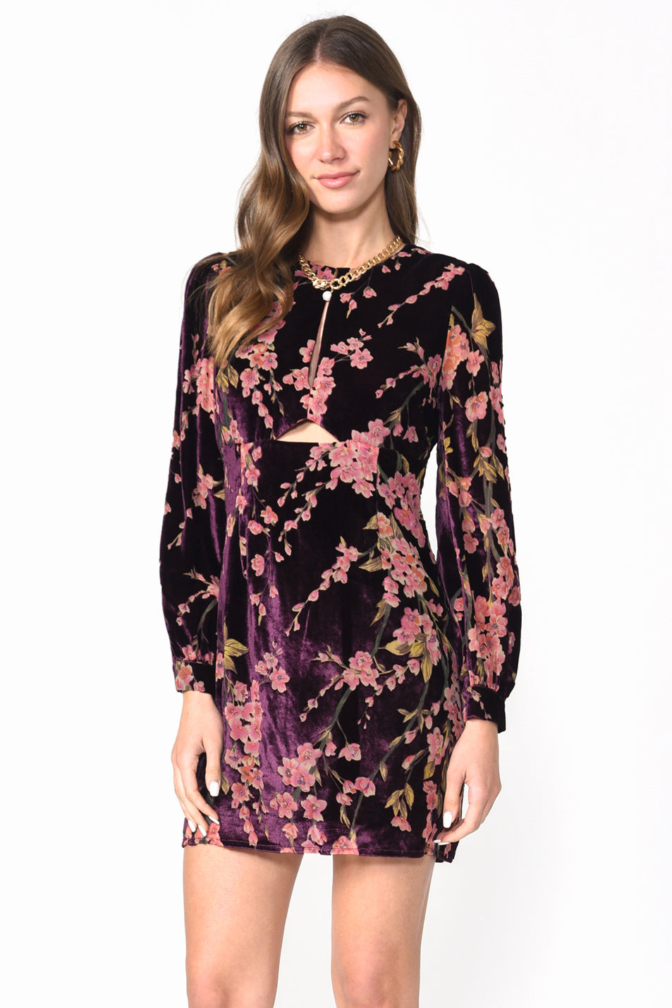 LIZ VELVET BURNOUT MINI DRESS
