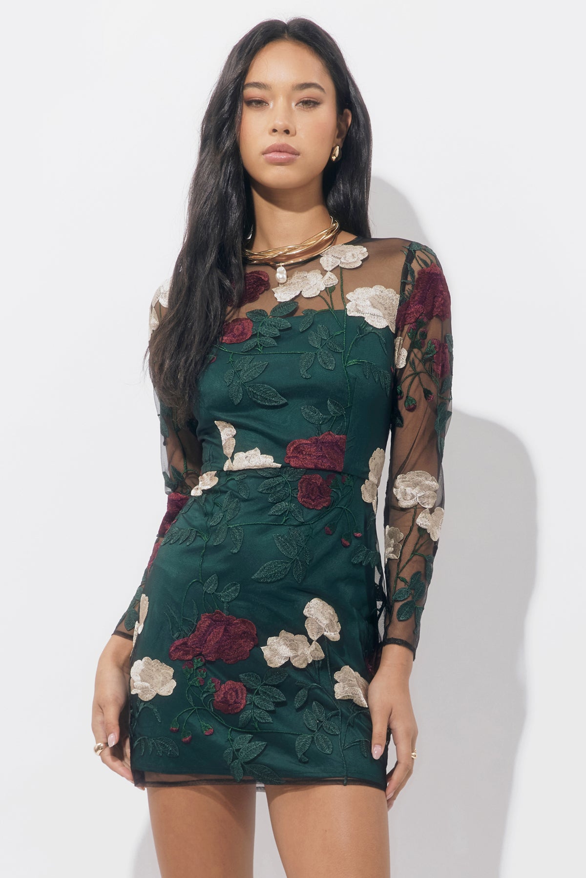 NOIA EMBROIDERED FLORAL MINI DRESS