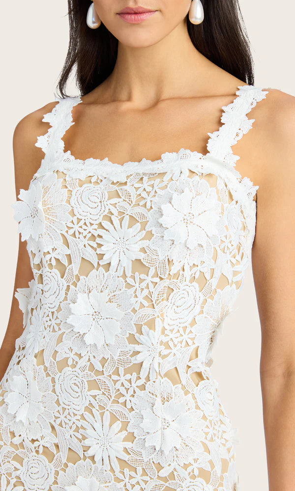MARNEE LACE DRESS