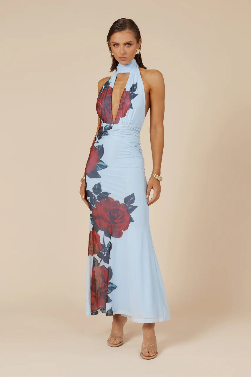 ANTONIE MAXI DRESS - RED ROSE