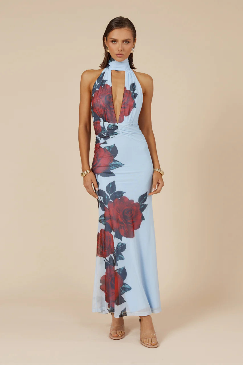 ANTONIE MAXI DRESS - RED ROSE