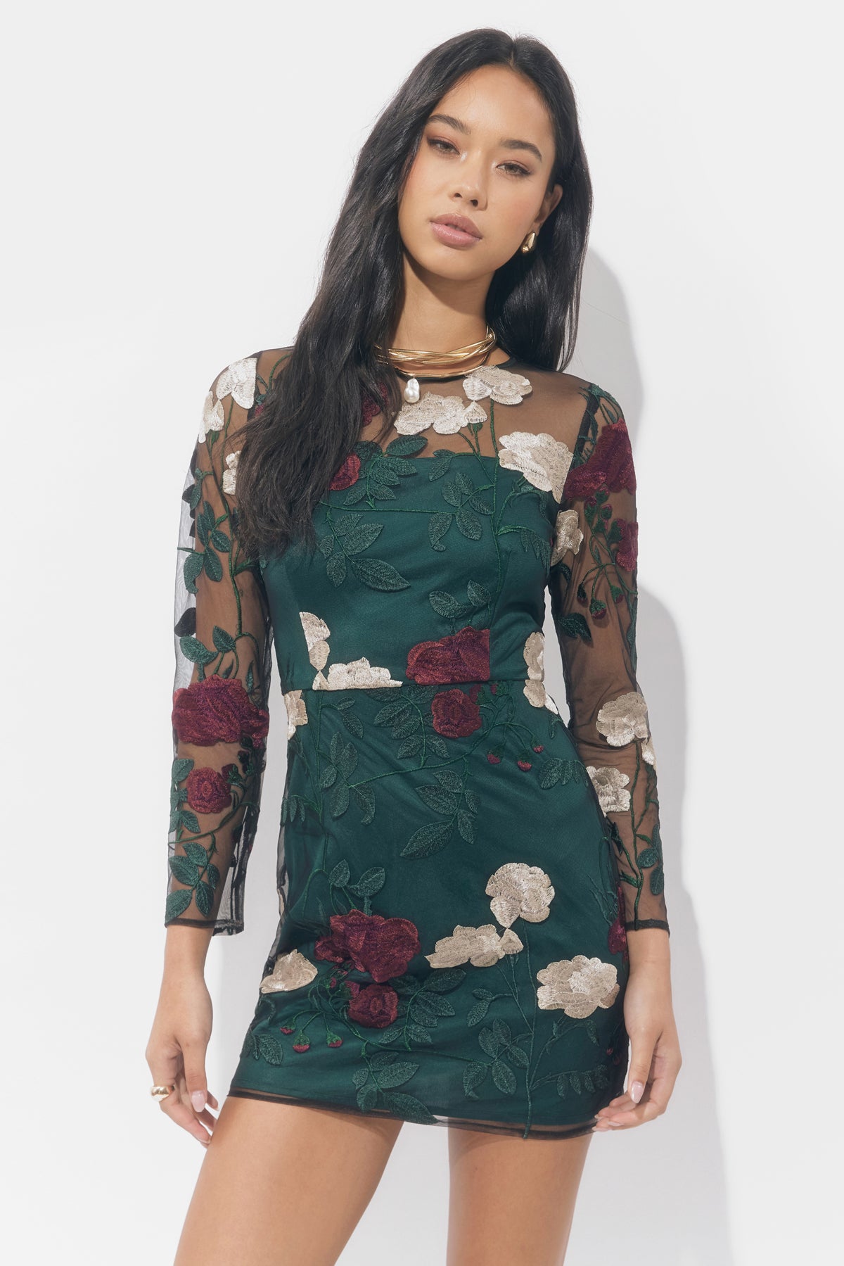NOIA EMBROIDERED FLORAL MINI DRESS